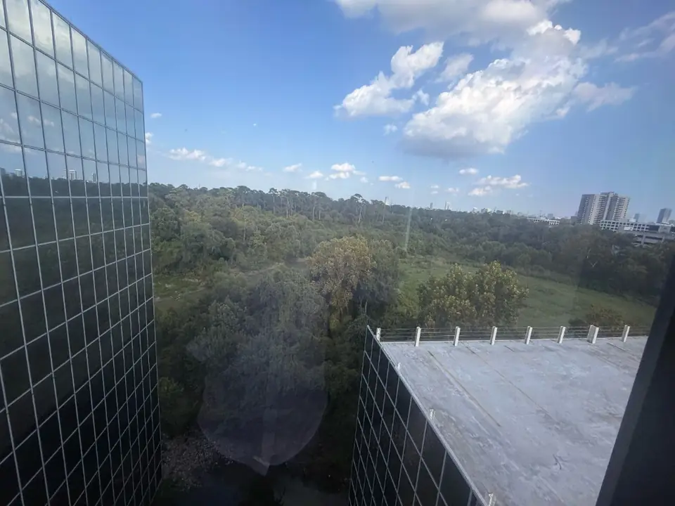 View from the Medai Digital office over Memorial Park, Houston